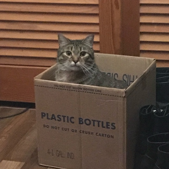 Meet your Posher, Lindsay - Picture 6 of 7